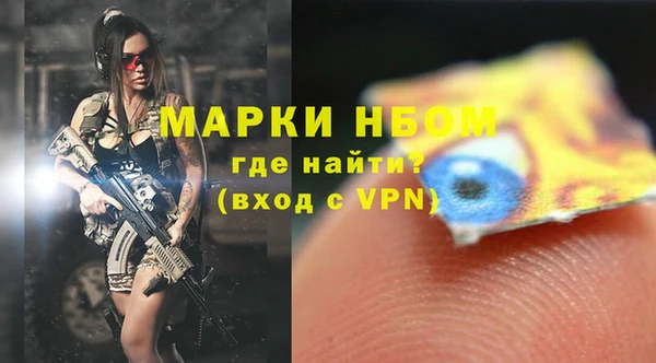 стаф Инсар