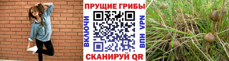 Псилоцибиновые грибы MAGIC MUSHROOMS  Старый Оскол 