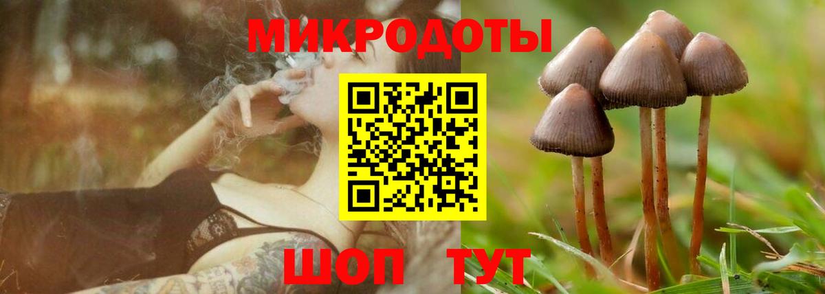 Старый Оскол  Галлюциногенные грибы GOLDEN TEACHER  Вход с VPN 